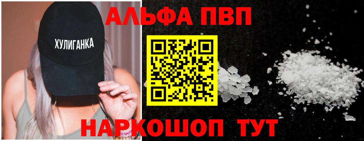 Альфа ПВП СК Энгельс