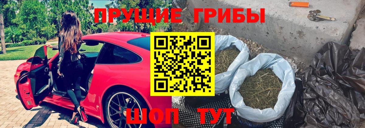 Энгельс  Псилоцибиновые грибы мицелий  Вход с VPN 